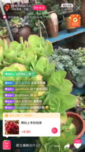 taobao_live_streaming1